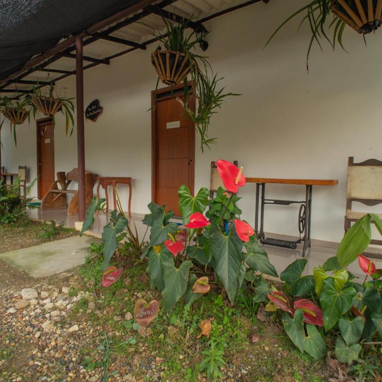 San Juan de los Guayabos - Habitación Deluxe - 1 cama grande - 1