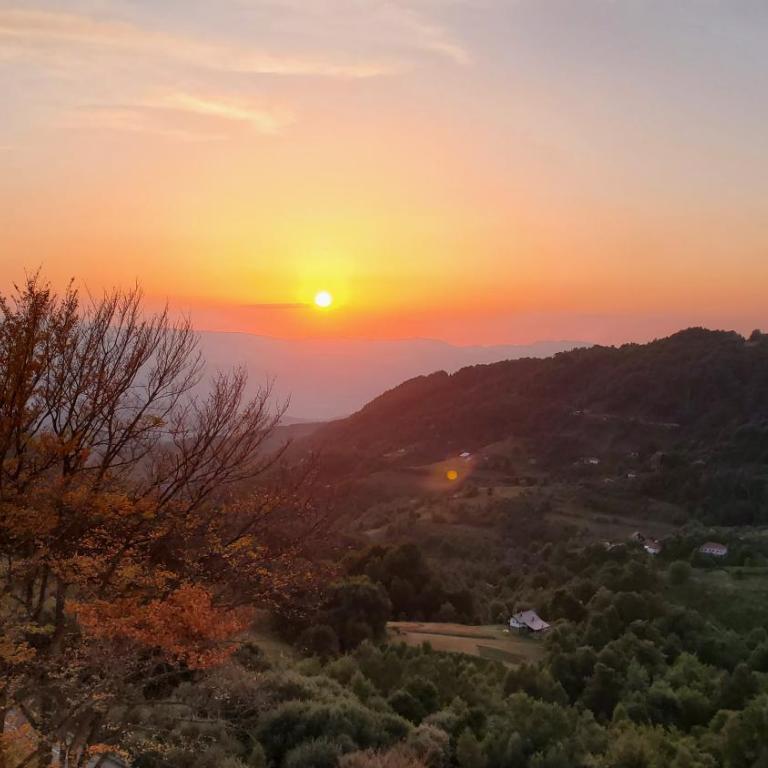 Milmari - Apartman N85 - Apartman sa 1 Spavaćom Sobom - 2