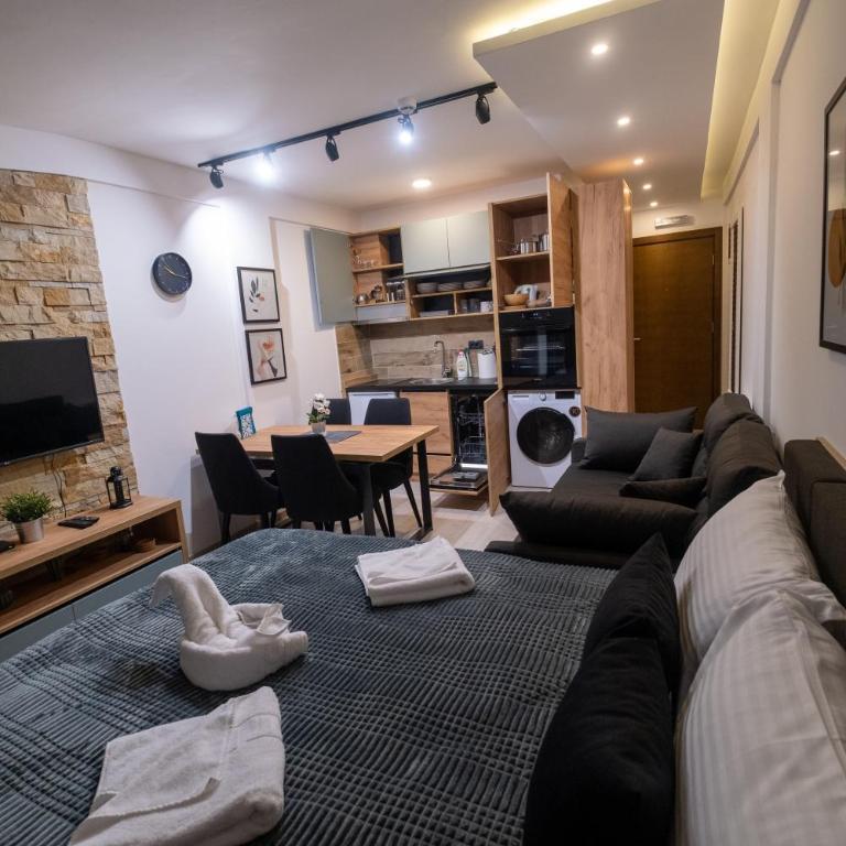 Milmari - Apartman N85 - Apartman sa 1 Spavaćom Sobom - 14