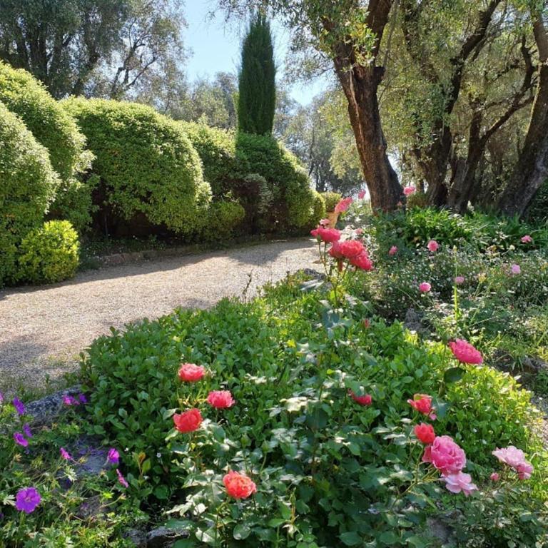Pool House Matisse in large park with heated pool - Maison 1 Chambre - 23