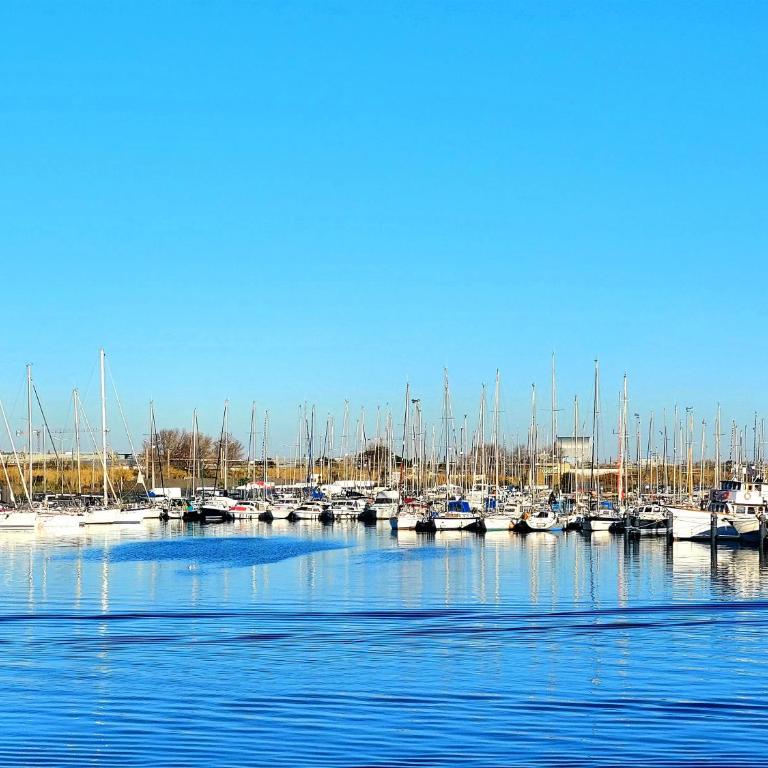 Appart A l'abordage Sète, Gare, parking - Appartement 1 Chambre - 13