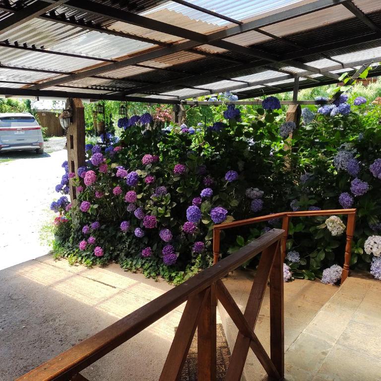 Complejo Cabañas Pétalos - Bungalow Familiar - 7