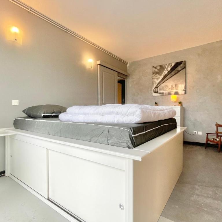 #F7 Le contemporain - Albert 1er de Begique - Appartement - 14