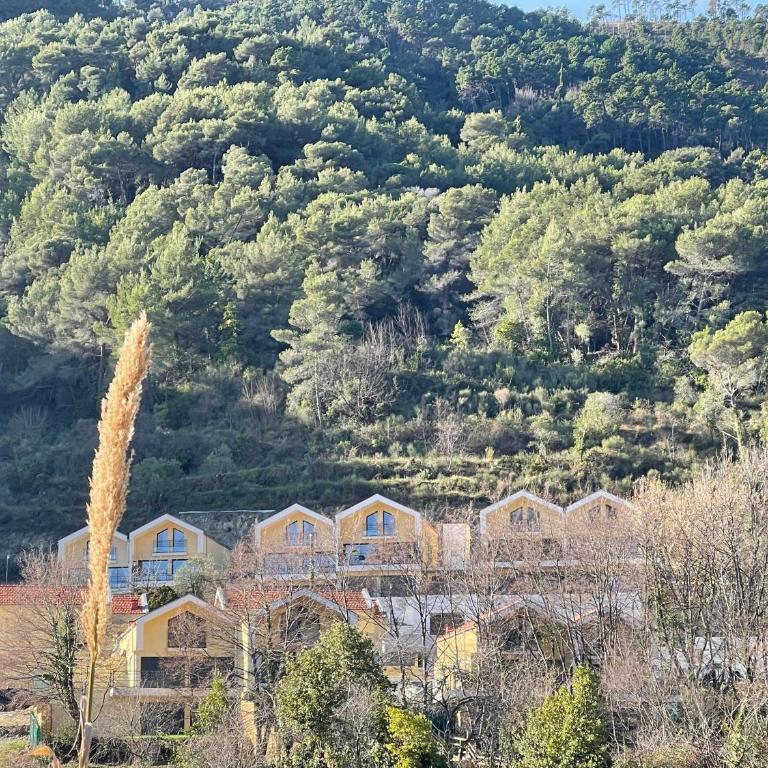 Les jardins du Soleil - Appartement 1 Chambre - 10