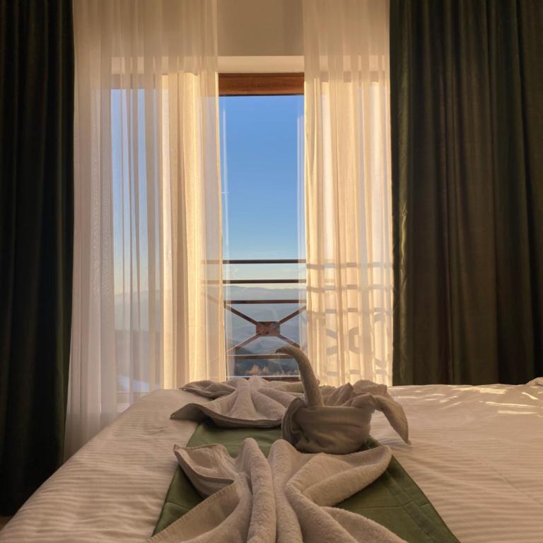 Apartmani Džanković - Superior Studio - 14