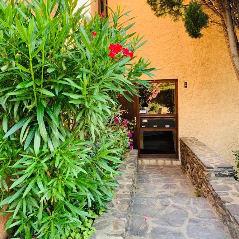 El Mayul 2' centre, plage, WiFi, au calme, clim, parking, - Apartment mit 2 Schlafzimmern - 8