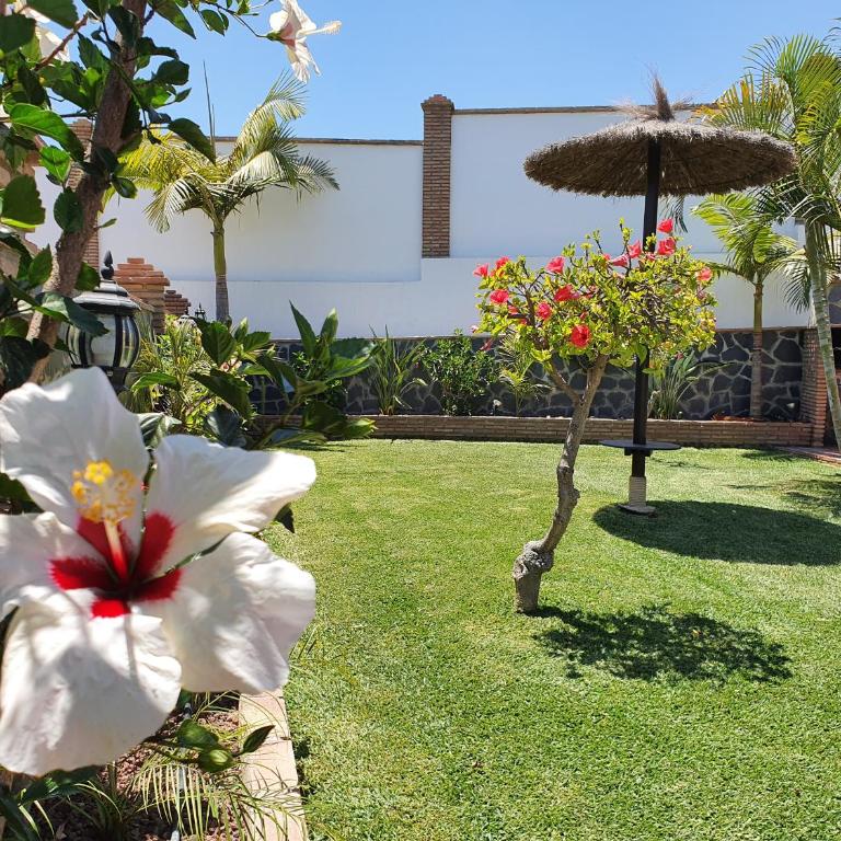 Villa Angelyn - Villa con piscina privada - 41