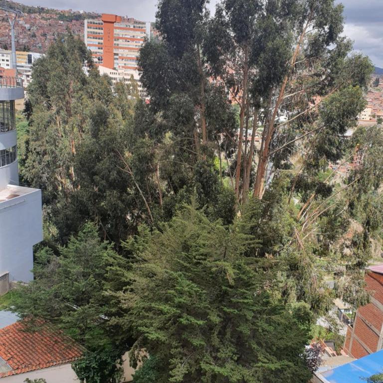 Apartamento Exclusivo VIP - Apartamento de 3 dormitorios - 29