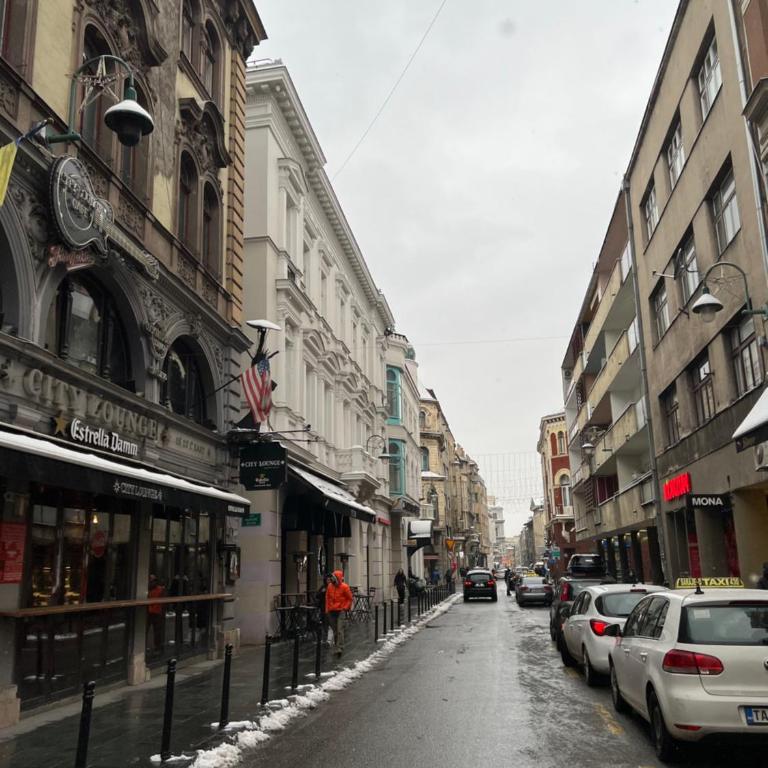Modern Apartment in the Heart of the City Center! - Apartman sa 1 Spavaćom Sobom - 19
