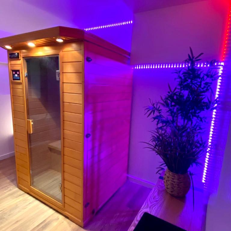 COSY & SPA Appartement Luxe JACUZZI SAUNA Suite Cristal - Suite mit Whirlpool - 3