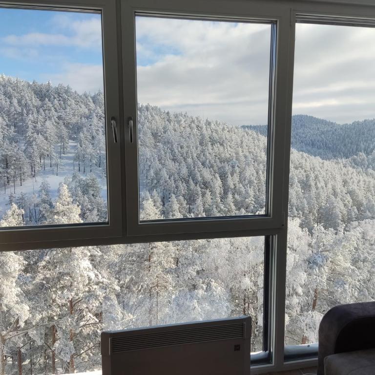 Apartmani Jezero Divčibare - Studio sa Pogledom na Planinu - 3