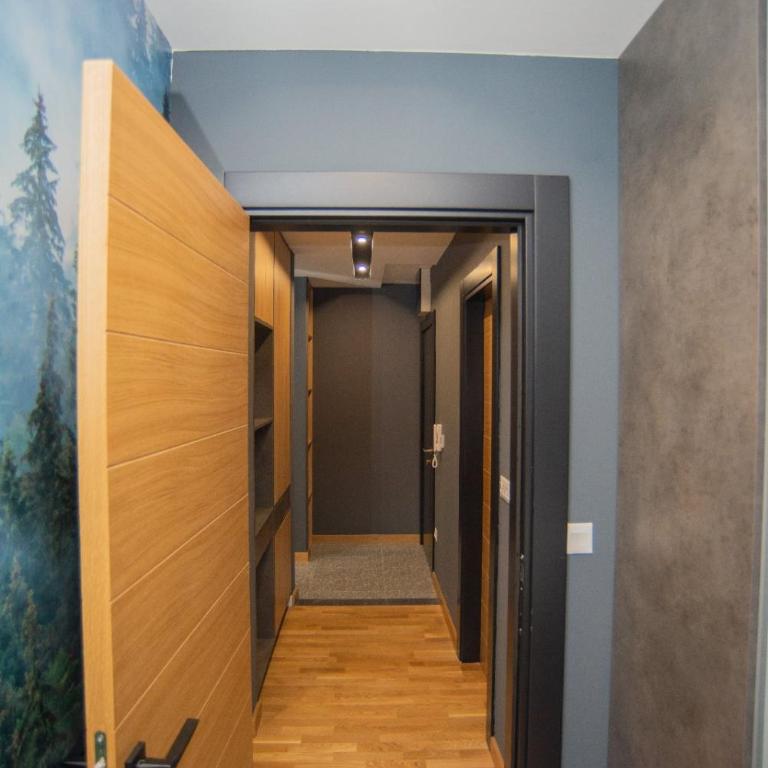 Modern Mountain Apartman 202 - Apartman sa 1 Spavaćom Sobom - 35