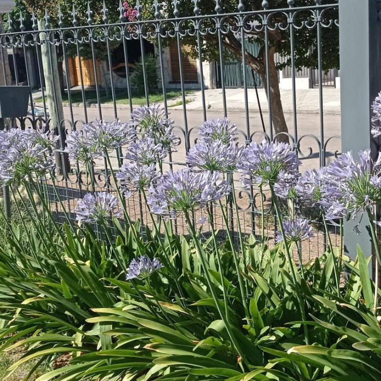 Remanso Cochera opcional - Apartamento con vistas al jardín - 17