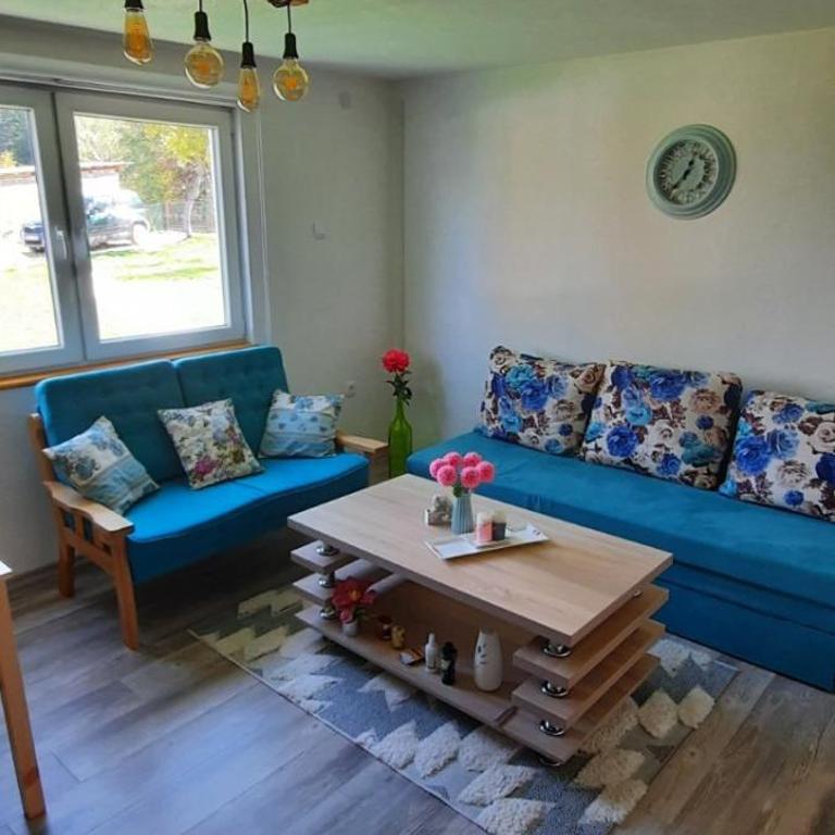 Deda Simina vikendica - One-Bedroom House - 12