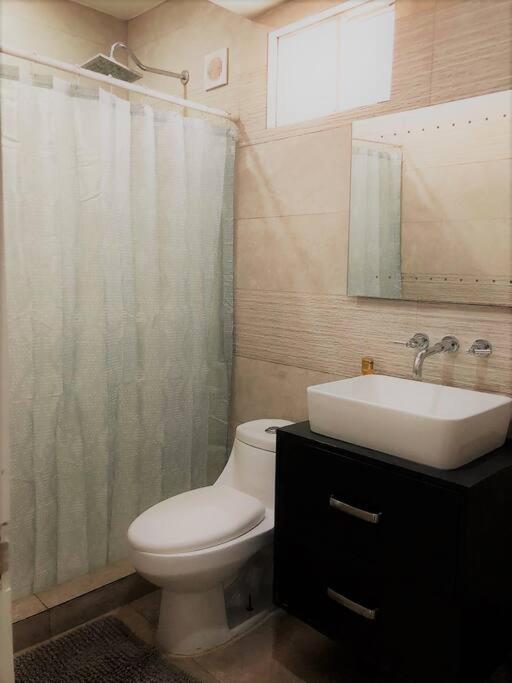 Lovely 1 Bedroom Apartment w/private Parking - One-Bedroom Apartment - 25