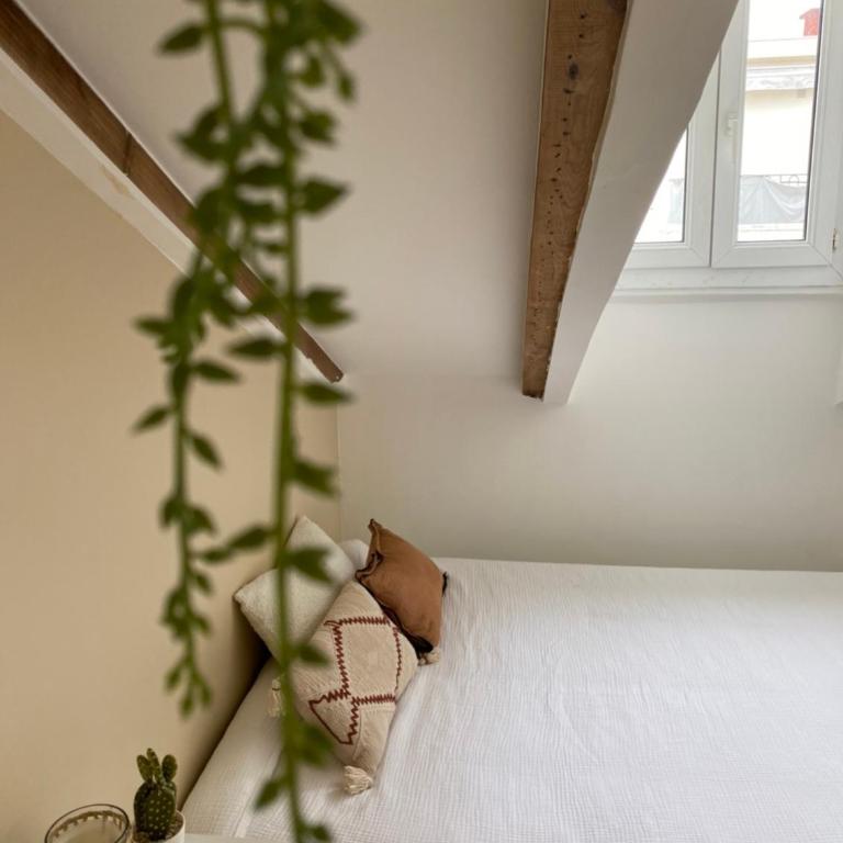 Lovely 1 Bedroom Apartment - Heart of Nice - Appartement 1 Chambre - 10