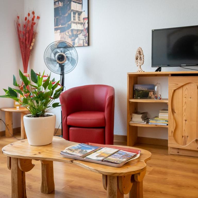 Gîtes Schwendi - Quartier Petite Venise - Apartment - 7