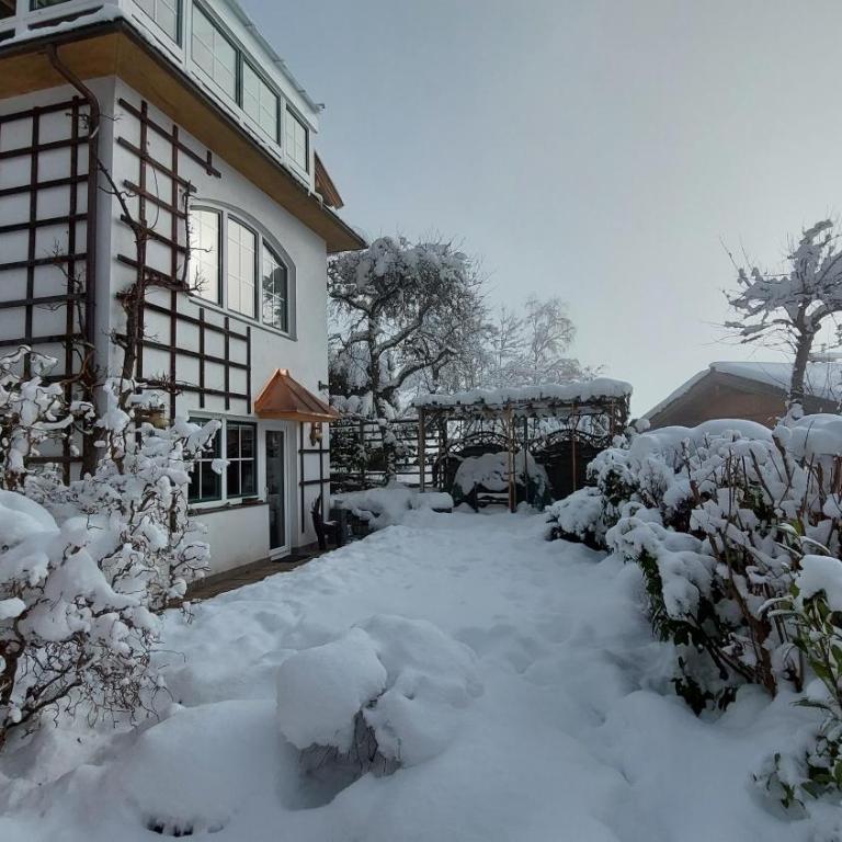 Bergblick - Mountainview - Apartment mit 1 Schlafzimmer und Dusche - 8