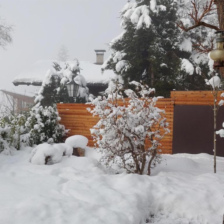 Bergblick - Mountainview - Apartment mit 1 Schlafzimmer und Dusche - 18