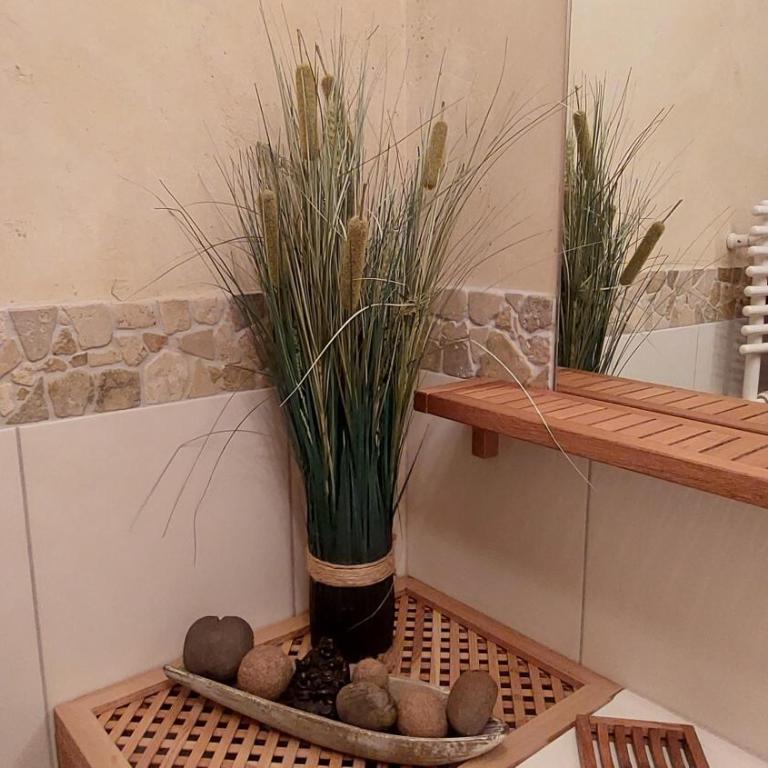 Bergblick - Mountainview - Apartment mit 1 Schlafzimmer und Dusche - 3