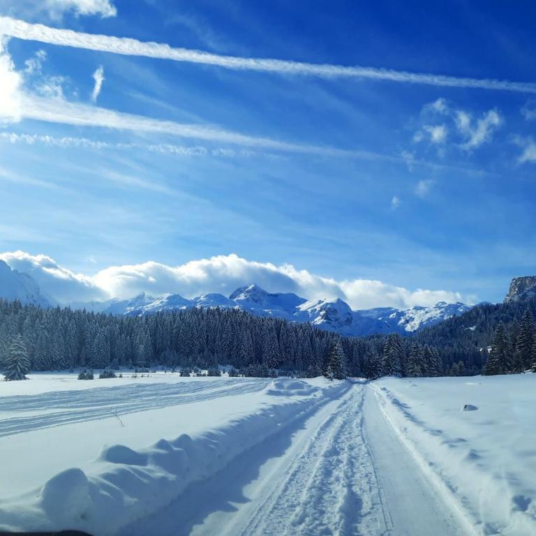 Vila Aleksandar - Two-Bedroom House - 34