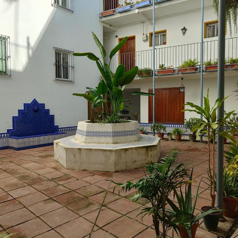 Apartamento La Judería de San Clemente - Apartamento - 37
