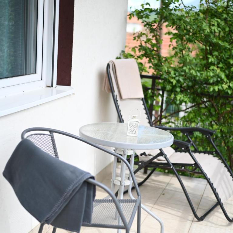 Sokobanja Smeštaj Pavlović & privatan parking - Apartment with Terrace - 13