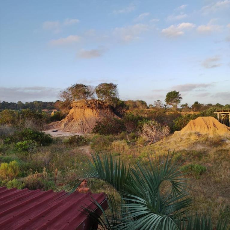 Biodiversidad - Family Double Room - 10
