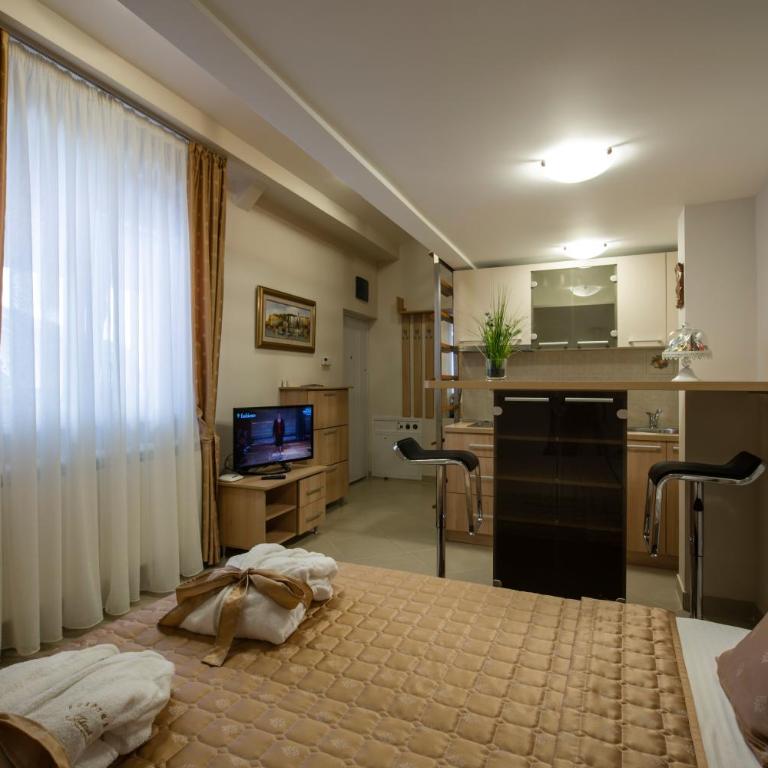 Apartments Jevtic - Dupleks Apartman - 7