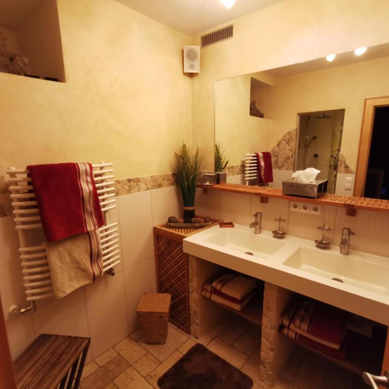 Bergblick - Mountainview - Apartment mit 1 Schlafzimmer und Dusche - 15