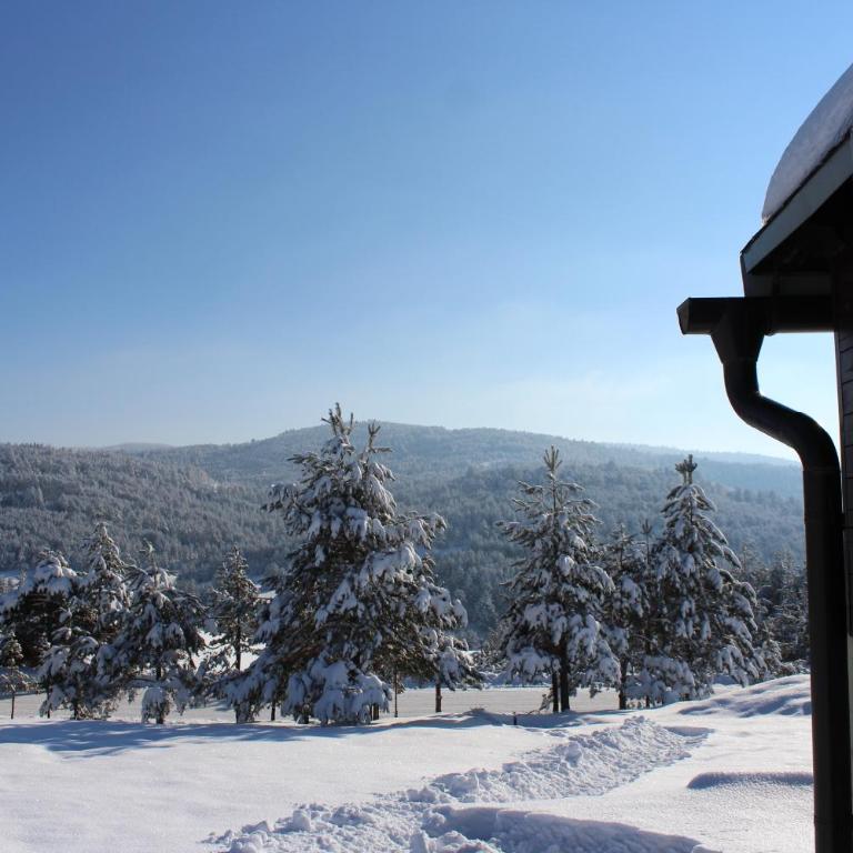 Zeleni Breg - Kuća sa 1 Spavaćom Sobom - 55