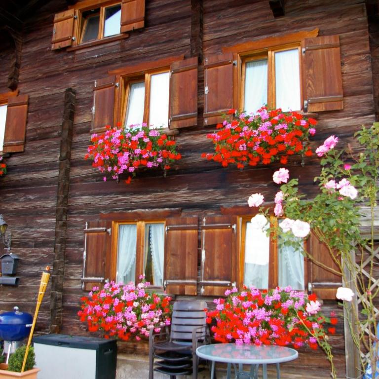 Montafonerhaus - Maison de Vacances - 4