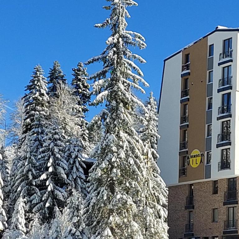 Jahorina Apartman, Jahorinska Vila - One-Bedroom Apartment - 7
