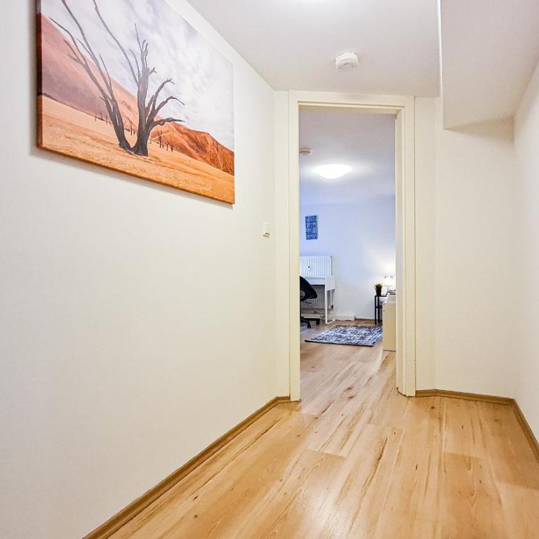 Luxuriöses Apartment im Zentrum von Nürnberg - Apartamento de 3 dormitorios - 6