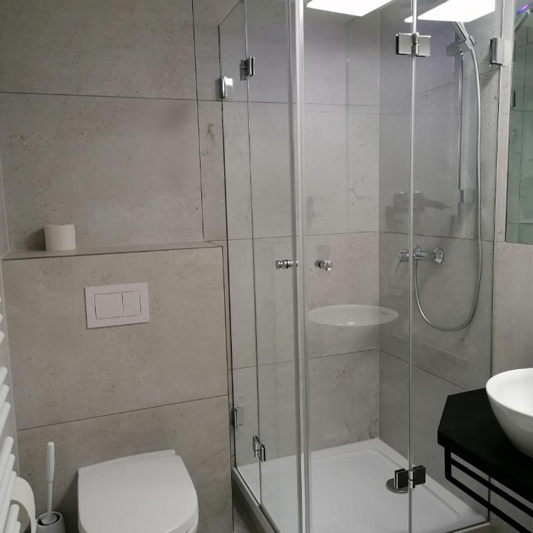 The Place Boutique & Design Hotel Flachau - Günstiges Studio - Untergeschoss - 1