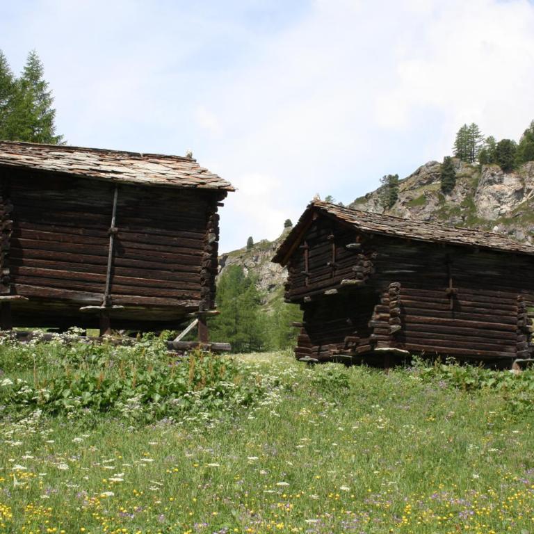 Chalet Hinter dem Rot Stei, private wellness, in ski and hiking area of Zermatt - Chalet avec Bain à Remous Extérieur Privé - 33