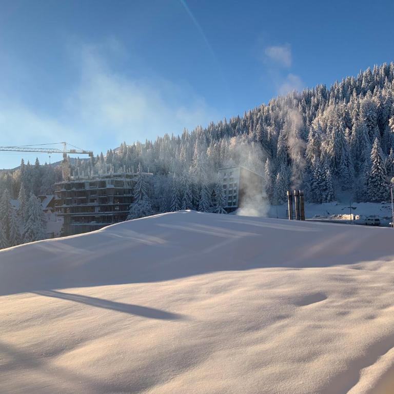 Apartman Jahorina-hotel Vucko - Apartment - 1