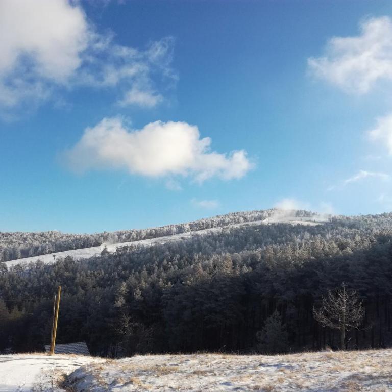 Kuća za odmor-Aleksandra - Vikendica - 27