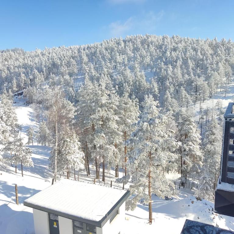 Apartmani Jezero Divčibare - Studio sa Balkonom - 5