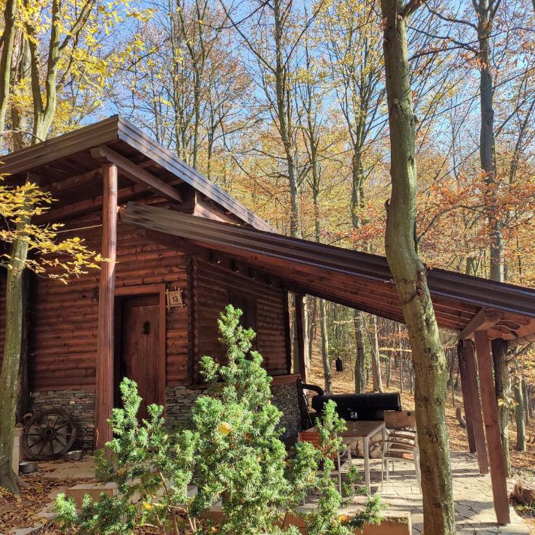 Šumarak Lodge - Vila sa 3 Spavaće Sobe - 27