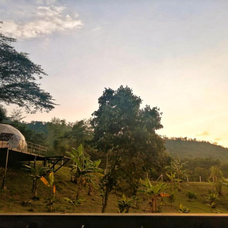 Glamping Montaña Escondida - Double Room - 19