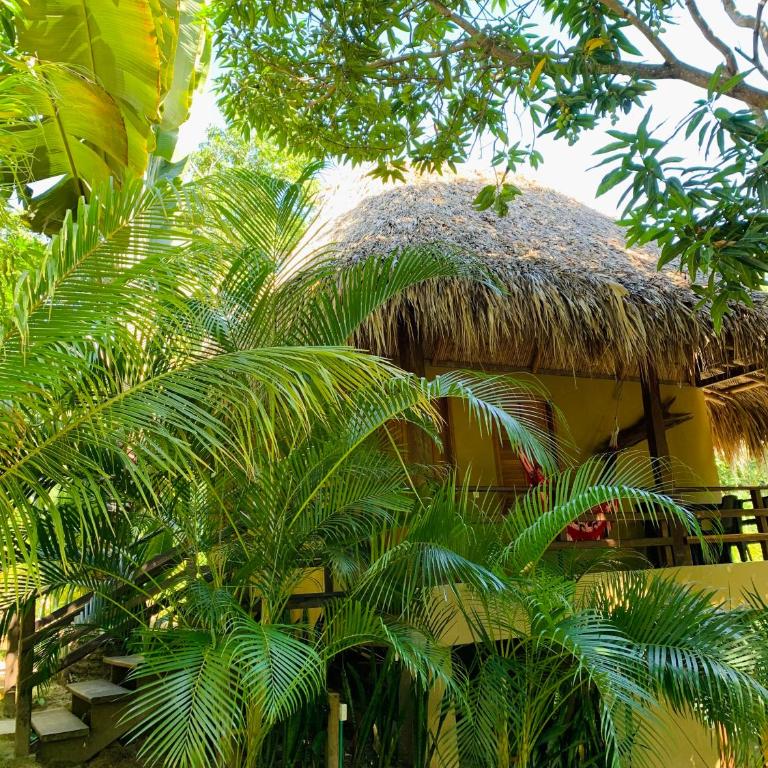 Hotel Isabella Tayrona - Bungalow - 1