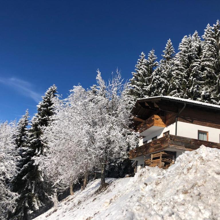 Ferienhaus Gerti Werfenweng - Apartment mit 3 Schlafzimmern - 2