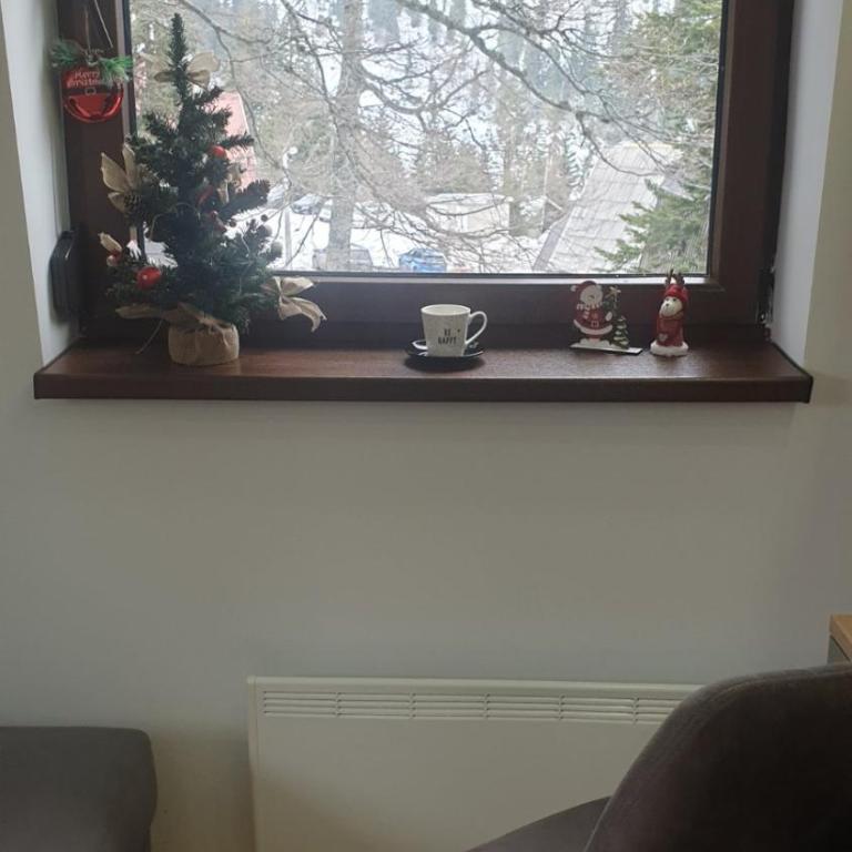 Apartman Nela 2 Jahorina - Apartman sa 1 Spavaćom Sobom - 30