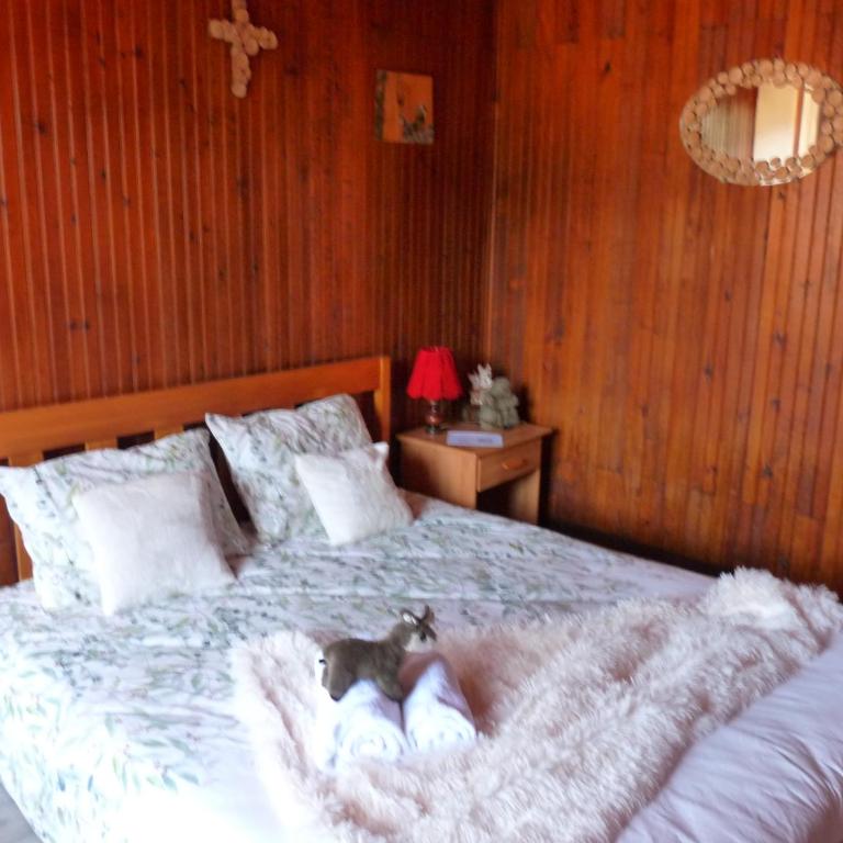 L'ânon d'Andon - Chambre Double Standard - 1