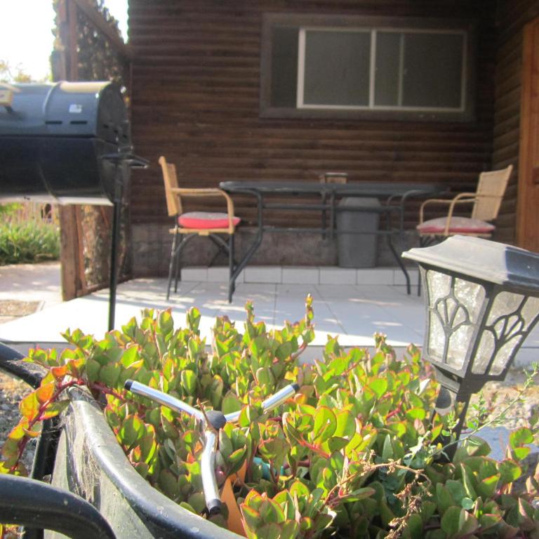 Cabañas Ciprés - Chalet de 1 dormitorio - 6