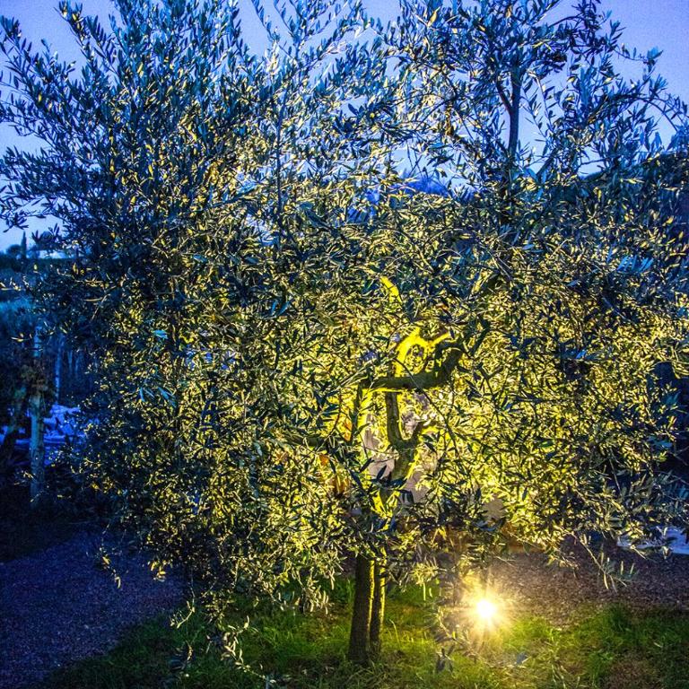 Agriturismo I Roseti - Appartamento con 1 Camera da Letto - 38