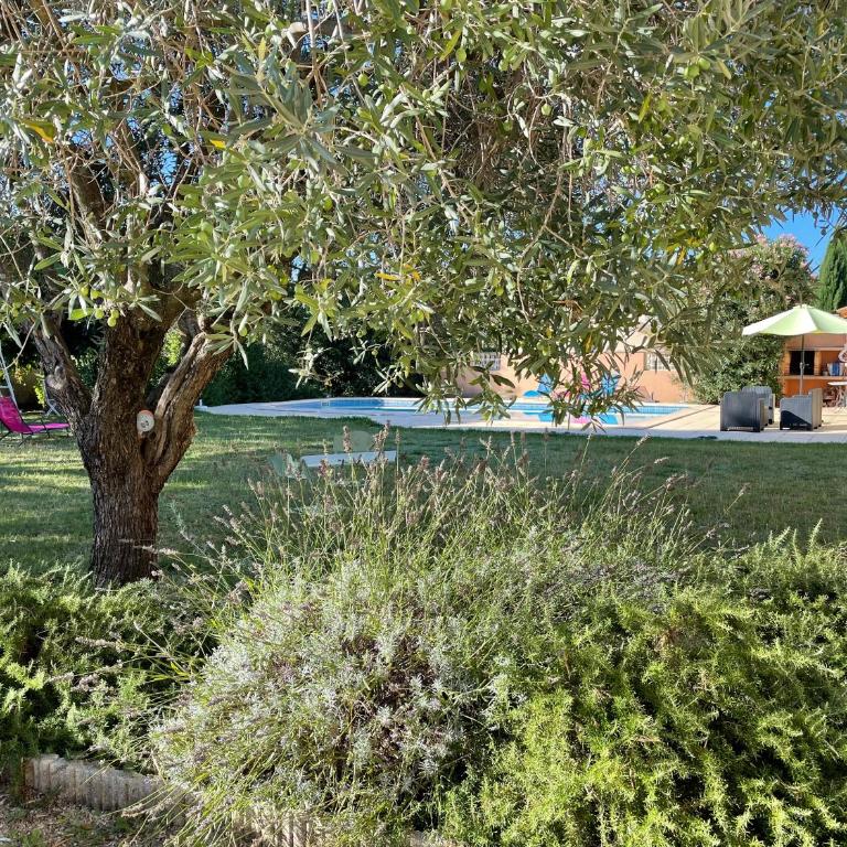 Villa et maisonnette provençales - Villa - 14