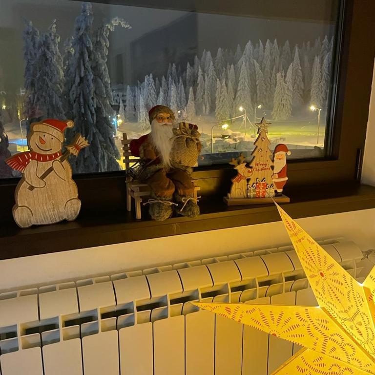 Planinski vrhovi Jelač - Apartman sa 1 Spavaćom Sobom - 11