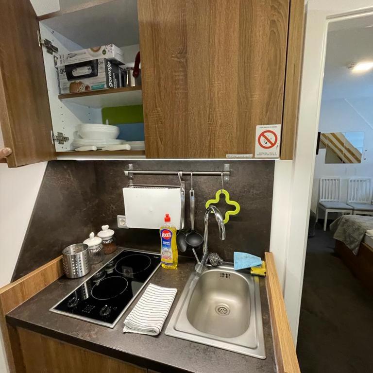 Planinski vrhovi Jelač - One-Bedroom Apartment - 9